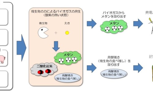胃癌 靶向药-【胃癌靶向药需要吃多长时间】胃癌靶向药用后的反应是什么 - 胃癌靶向药用后的反应网