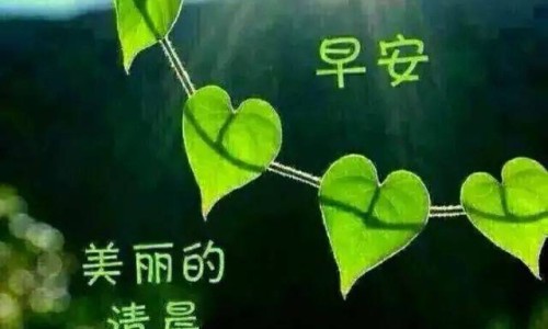 【胃癌靶向药需要吃多长时间】胃癌靶向药用后的反应是什么 - 胃癌靶向药用后的反应网